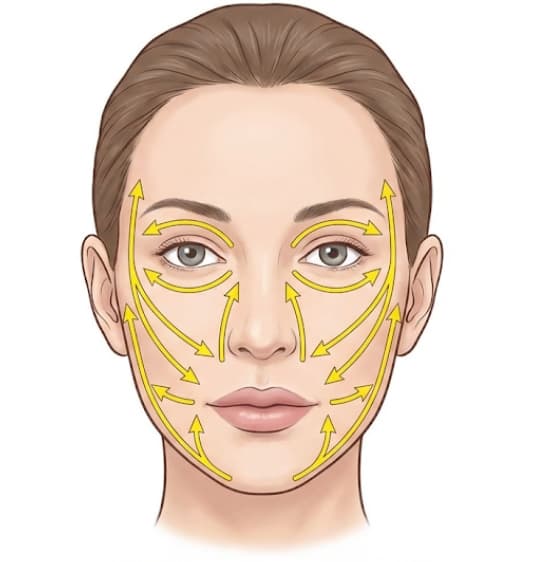 科学的アプローチ